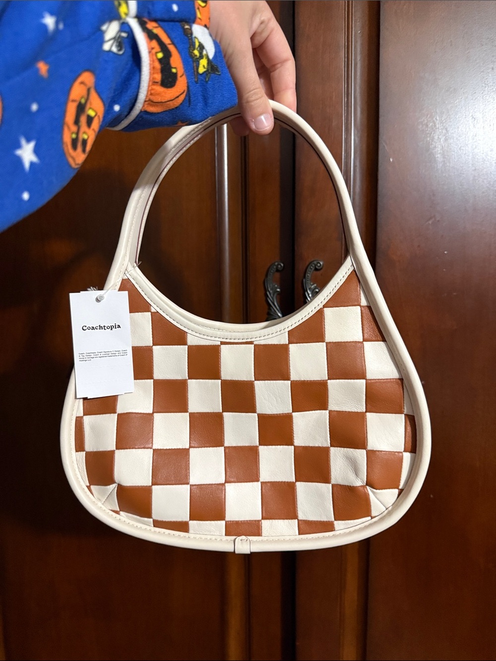 Coachtopia Ergo Bag